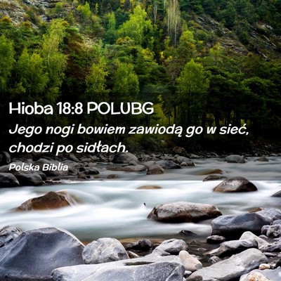 Picture 02 - Hioba 18:8 POLUBG - Jego nogi bowiem zawiodą go w sieć, chodzi po - Bible Verse Picture