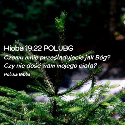 Picture 02 - Hioba 19:22 POLUBG - Czemu mnie prześladujecie jak Bóg? Czy nie - Bible Verse Picture