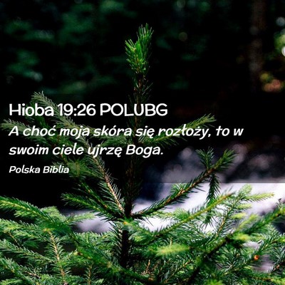 Picture 02 - Hioba 19:26 POLUBG - A choć moja skóra się rozłoży, to w swoim - Bible Verse Picture
