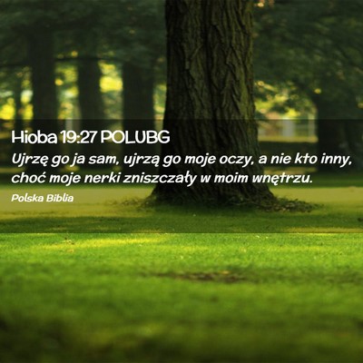 Picture 02 - Hioba 19:27 POLUBG - Ujrzę go ja sam, ujrzą go moje oczy, a nie kto - Bible Verse Picture