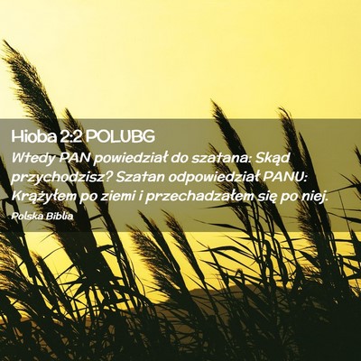 Picture 02 - Hioba 2:2 POLUBG - Wtedy PAN powiedział do szatana: Skąd - Bible Verse Picture