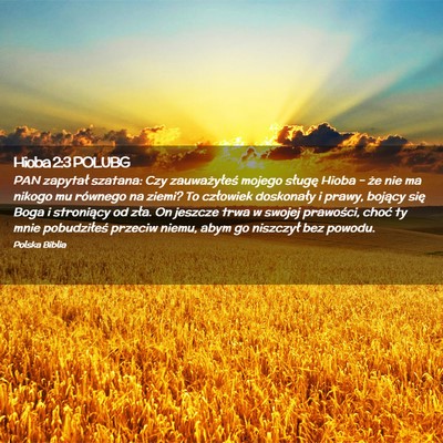 Picture 02 - Hioba 2:3 POLUBG - PAN zapytał szatana: Czy zauważyłeś mojego - Bible Verse Picture