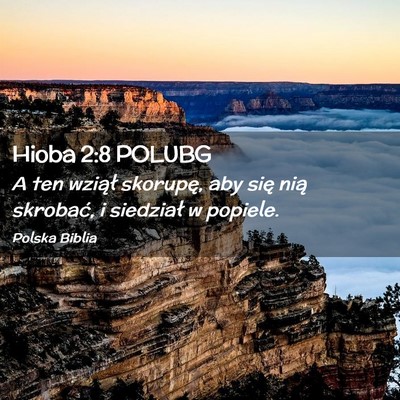 Picture 02 - Hioba 2:8 POLUBG - A ten wziął skorupę, aby się nią skrobać, i - Bible Verse Picture