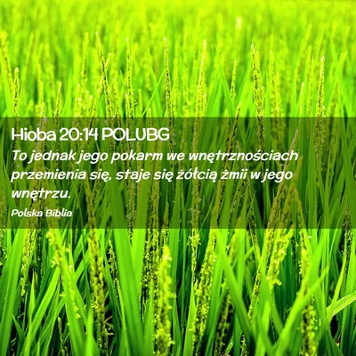 Picture 02 - Hioba 20:14 POLUBG - To jednak jego pokarm we wnętrznościach - Bible Verse Picture