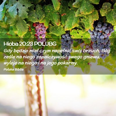 Picture 02 - Hioba 20:23 POLUBG - Gdy będzie miał czym napełnić swój brzuch, - Bible Verse Picture