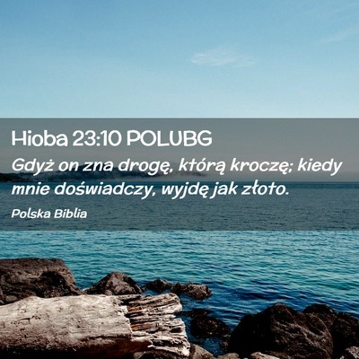 Picture 02 - Hioba 23:10 POLUBG - Gdyż on zna drogę, którą kroczę; kiedy mnie - Bible Verse Picture