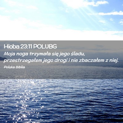 Picture 02 - Hioba 23:11 POLUBG - Moja noga trzymała się jego śladu, - Bible Verse Picture