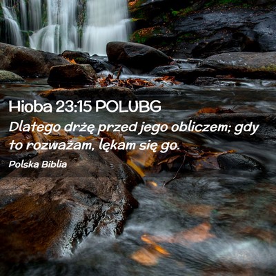 Picture 02 - Hioba 23:15 POLUBG - Dlatego drżę przed jego obliczem; gdy to - Bible Verse Picture