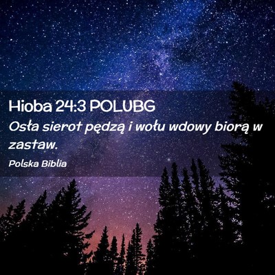 Picture 02 - Hioba 24:3 POLUBG - Osła sierot pędzą i wołu wdowy biorą w - Bible Verse Picture