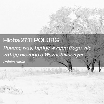 Picture 02 - Hioba 27:11 POLUBG - Pouczę was, będąc w ręce Boga, nie zataję - Bible Verse Picture