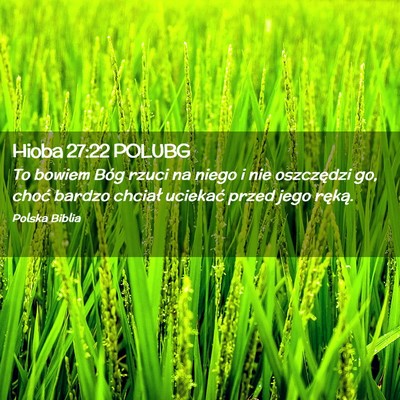 Picture 02 - Hioba 27:22 POLUBG - To bowiem Bóg rzuci na niego i nie oszczędzi - Bible Verse Picture