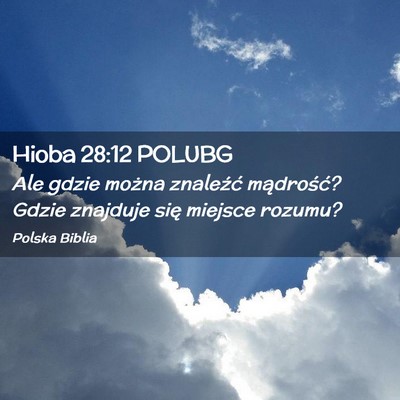 Picture 02 - Hioba 28:12 POLUBG - Ale gdzie można znaleźć mądrość? Gdzie - Bible Verse Picture
