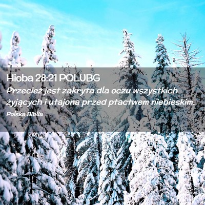 Picture 02 - Hioba 28:21 POLUBG - Przecież jest zakryta dla oczu wszystkich - Bible Verse Picture