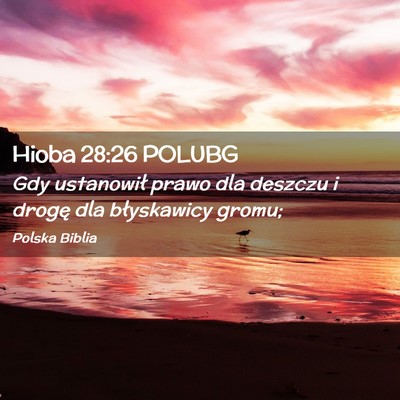Picture 02 - Hioba 28:26 POLUBG - Gdy ustanowił prawo dla deszczu i drogę dla - Bible Verse Picture