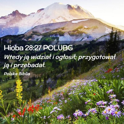 Picture 02 - Hioba 28:27 POLUBG - Wtedy ją widział i ogłosił; przygotował ją - Bible Verse Picture