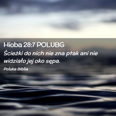 Picture 02 - Hioba 28:7 POLUBG - Ścieżki do nich nie zna ptak ani nie widziało - Bible Verse Picture