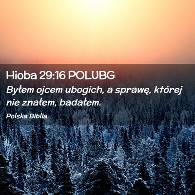 Picture 02 - Hioba 29:16 POLUBG - Byłem ojcem ubogich, a sprawę, której nie - Bible Verse Picture