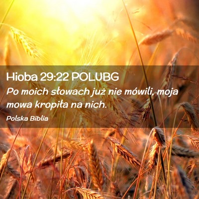 Picture 02 - Hioba 29:22 POLUBG - Po moich słowach już nie mówili, moja mowa - Bible Verse Picture