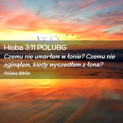 Picture 02 - Hioba 3:11 POLUBG - Czemu nie umarłem w łonie? Czemu nie - Bible Verse Picture