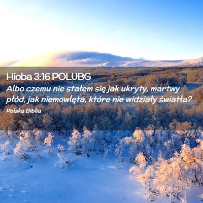Picture 02 - Hioba 3:16 POLUBG - Albo czemu nie stałem się jak ukryty, martwy - Bible Verse Picture