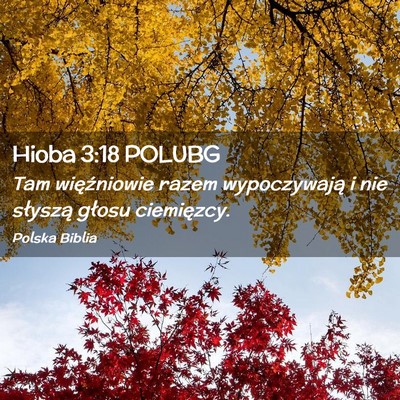 Picture 02 - Hioba 3:18 POLUBG - Tam więźniowie razem wypoczywają i nie - Bible Verse Picture