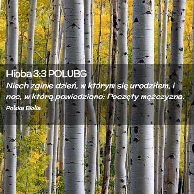 Picture 02 - Hioba 3:3 POLUBG - Niech zginie dzień, w którym się urodziłem, i - Bible Verse Picture