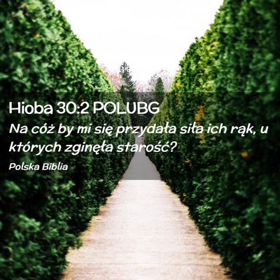 Picture 02 - Hioba 30:2 POLUBG - Na cóż by mi się przydała siła ich rąk, u - Bible Verse Picture