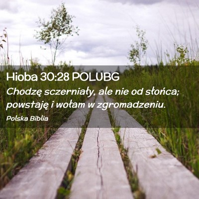 Picture 02 - Hioba 30:28 POLUBG - Chodzę sczerniały, ale nie od słońca; - Bible Verse Picture