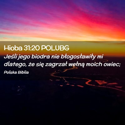 Picture 02 - Hioba 31:20 POLUBG - Jeśli jego biodra nie błogosławiły mi - Bible Verse Picture