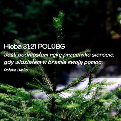 Picture 02 - Hioba 31:21 POLUBG - Jeśli podniosłem rękę przeciwko sierocie, gdy - Bible Verse Picture