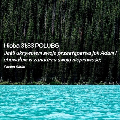 Picture 02 - Hioba 31:33 POLUBG - Jeśli ukrywałem swoje przestępstwa jak Adam i - Bible Verse Picture