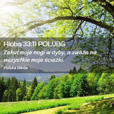 Picture 02 - Hioba 33:11 POLUBG - Zakuł moje nogi w dyby, a zważa na wszystkie - Bible Verse Picture
