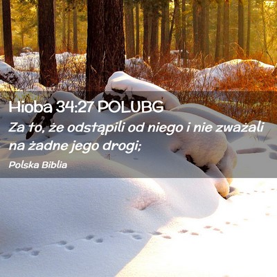 Picture 02 - Hioba 34:27 POLUBG - Za to, że odstąpili od niego i nie zważali na - Bible Verse Picture