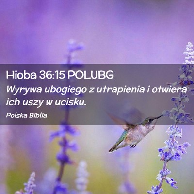 Picture 02 - Hioba 36:15 POLUBG - Wyrywa ubogiego z utrapienia i otwiera ich uszy w - Bible Verse Picture