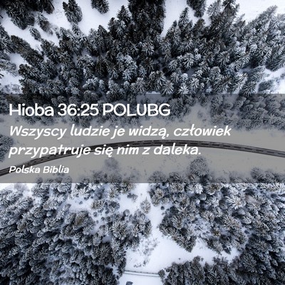 Picture 02 - Hioba 36:25 POLUBG - Wszyscy ludzie je widzą, człowiek przypatruje - Bible Verse Picture