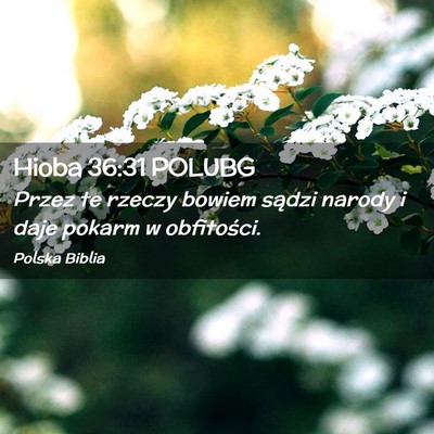 Picture 02 - Hioba 36:31 POLUBG - Przez te rzeczy bowiem sądzi narody i daje - Bible Verse Picture