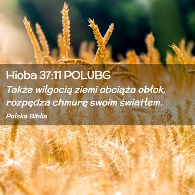 Picture 02 - Hioba 37:11 POLUBG - Także wilgocią ziemi obciąża obłok, - Bible Verse Picture