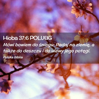 Picture 02 - Hioba 37:6 POLUBG - Mówi bowiem do śniegu: Padaj na ziemię, a - Bible Verse Picture