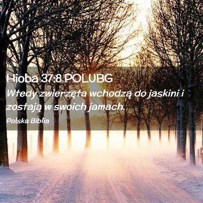 Picture 02 - Hioba 37:8 POLUBG - Wtedy zwierzęta wchodzą do jaskini i zostają w - Bible Verse Picture