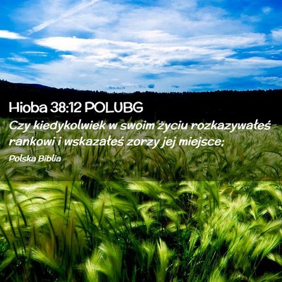 Picture 02 - Hioba 38:12 POLUBG - Czy kiedykolwiek w swoim życiu rozkazywałeś - Bible Verse Picture