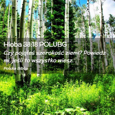 Picture 02 - Hioba 38:18 POLUBG - Czy pojąłeś szerokość ziemi? Powiedz mi, - Bible Verse Picture