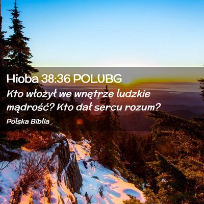 Picture 02 - Hioba 38:36 POLUBG - Kto włożył we wnętrze ludzkie mądrość? Kto - Bible Verse Picture