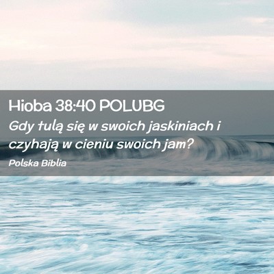 Picture 02 - Hioba 38:40 POLUBG - Gdy tulą się w swoich jaskiniach i czyhają w - Bible Verse Picture