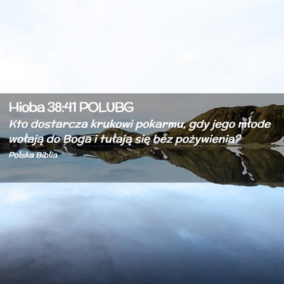 Picture 02 - Hioba 38:41 POLUBG - Kto dostarcza krukowi pokarmu, gdy jego młode - Bible Verse Picture