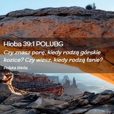 Picture 02 - Hioba 39:1 POLUBG - Czy znasz porę, kiedy rodzą górskie kozice? - Bible Verse Picture