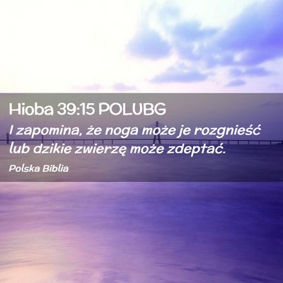 Picture 02 - Hioba 39:15 POLUBG - I zapomina, że noga może je rozgnieść lub - Bible Verse Picture