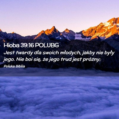 Picture 02 - Hioba 39:16 POLUBG - Jest twardy dla swoich młodych, jakby nie były - Bible Verse Picture