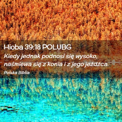 Picture 02 - Hioba 39:18 POLUBG - Kiedy jednak podnosi się wysoko, naśmiewa się - Bible Verse Picture