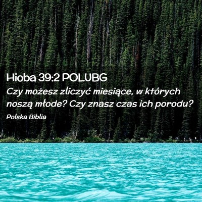 Picture 02 - Hioba 39:2 POLUBG - Czy możesz zliczyć miesiące, w których noszą - Bible Verse Picture