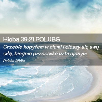 Picture 02 - Hioba 39:21 POLUBG - Grzebie kopytem w ziemi i cieszy się swą - Bible Verse Picture